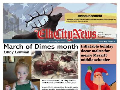 Wed. Nov  4, 2020 cover